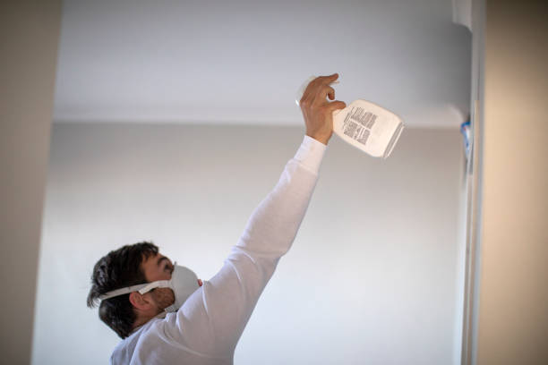  South Hill, VA Mold Removal Pros