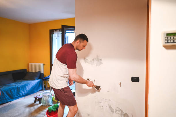 Best Commercial Mold Remediation in South Hill, VA
